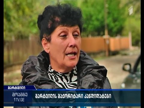 რა პრიორიტეტები აქვთ და რა პრობლემების მოგვარებას აპირებენ მარტვილის დეპუტატობის კანდიდატები