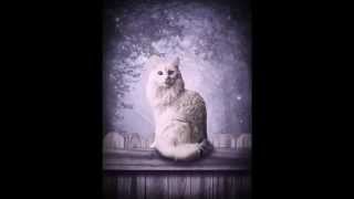 Мельница - Белая кошка