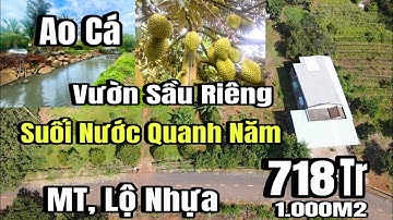 Đã bán)  sầu riêng thái, suối nước quanh năm, ao cá, MT, lộ nhựa, Huyện xuyên mộc cũ