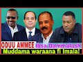Muddama Waraana Fi Imala Ibsa Dammalaash 8 6 2026 AGM 