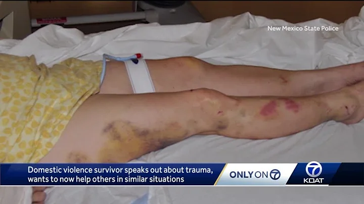 Former domestic violence hearing officer shares st...