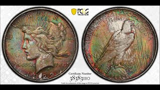 1922 D Monster Toned Silver Peace Dollar! (Toner Tuesday)