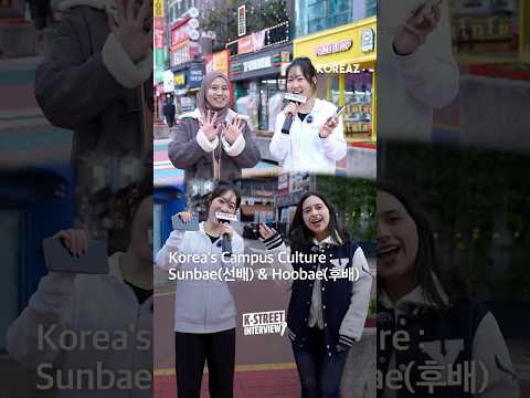 Korea S Campus Culture Sunbae 선배 Hoobae 후배 K Street Interview EP 22