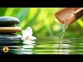 🔴 Zen Music 24/7, Healing Music, Meditation Music, Spa Music, Sleep, Relaxing Study Music, River