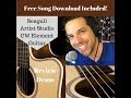 Seagull artist series cw studio element guitar review and demo