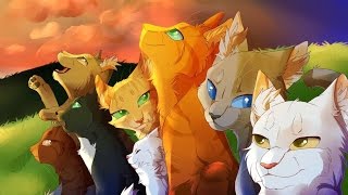 Cats-Warriors