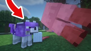 This MINECRAFT MOD GIVES Your WOLF ARMOR! screenshot 5