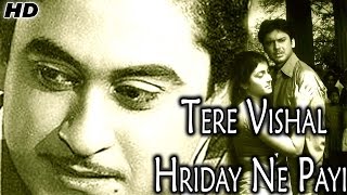 Tere Vishal Hriday Ne Payi Video Song (Kishore Kumar) - Swaroop Dutt, Radha Saluja