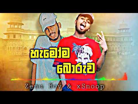 හැමොම බොරුව | hamoma boruwa | Zenu boy & snoop | boru adare mata danuna | බොරු ආදරෙ මට දැනුනා