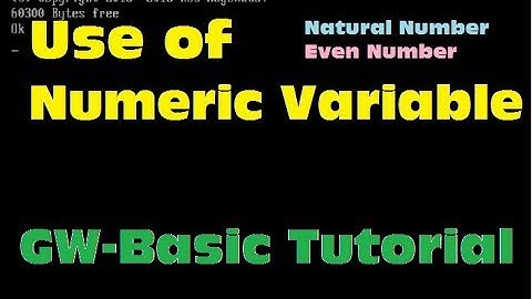 2- GWBasic Language - Numeric Variable - Video Lecture in Urdu - Lunar Computer College