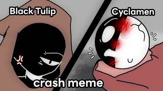 crash meme ||Animation meme|| [oc] Black Tulip and Cyclamen