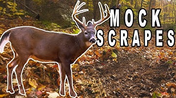 How to Make Mock Scrapes For Big Woods Deer Hunting