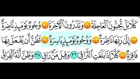 سوره القيامه من 20 الى 25 قران كريم