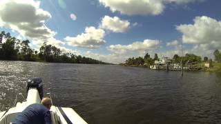 Action 19 250 HO Evinrude