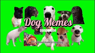 Latest Funny Dog Meme Compilation | Green Screen Dog Memes | No Copyright
