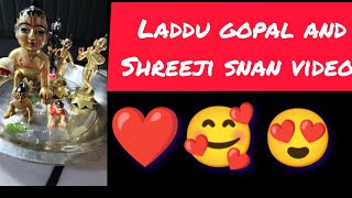 Today Laddu Gopal Ji And Shriji Snan Video