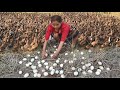 Woman found a lot of egg duck for cook at bamboo hut - Eating delicious