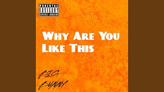 Why Are You Like This