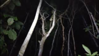 🔴LIVE MISTERI ‼️ LOKASI KAKEK MISTERIUS