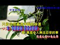 あん時ゃどしゃ降り  劉清池【高音質  全音標  譯文】