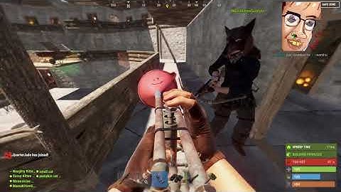 Lily pays a visit to the Kittens - NEW OTV & Friends Rust Server