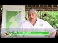 Moringa farming the 'miracle' tree - CJ Papu Haroon |Part 1|