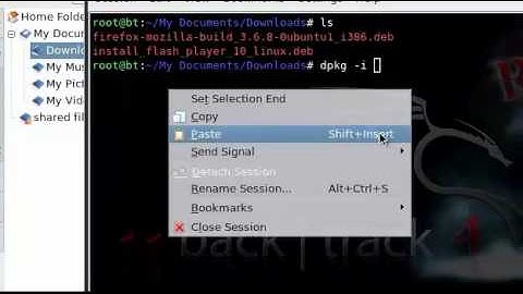 backtrack 4 firefox 3.6.8 upgrade for dummies
