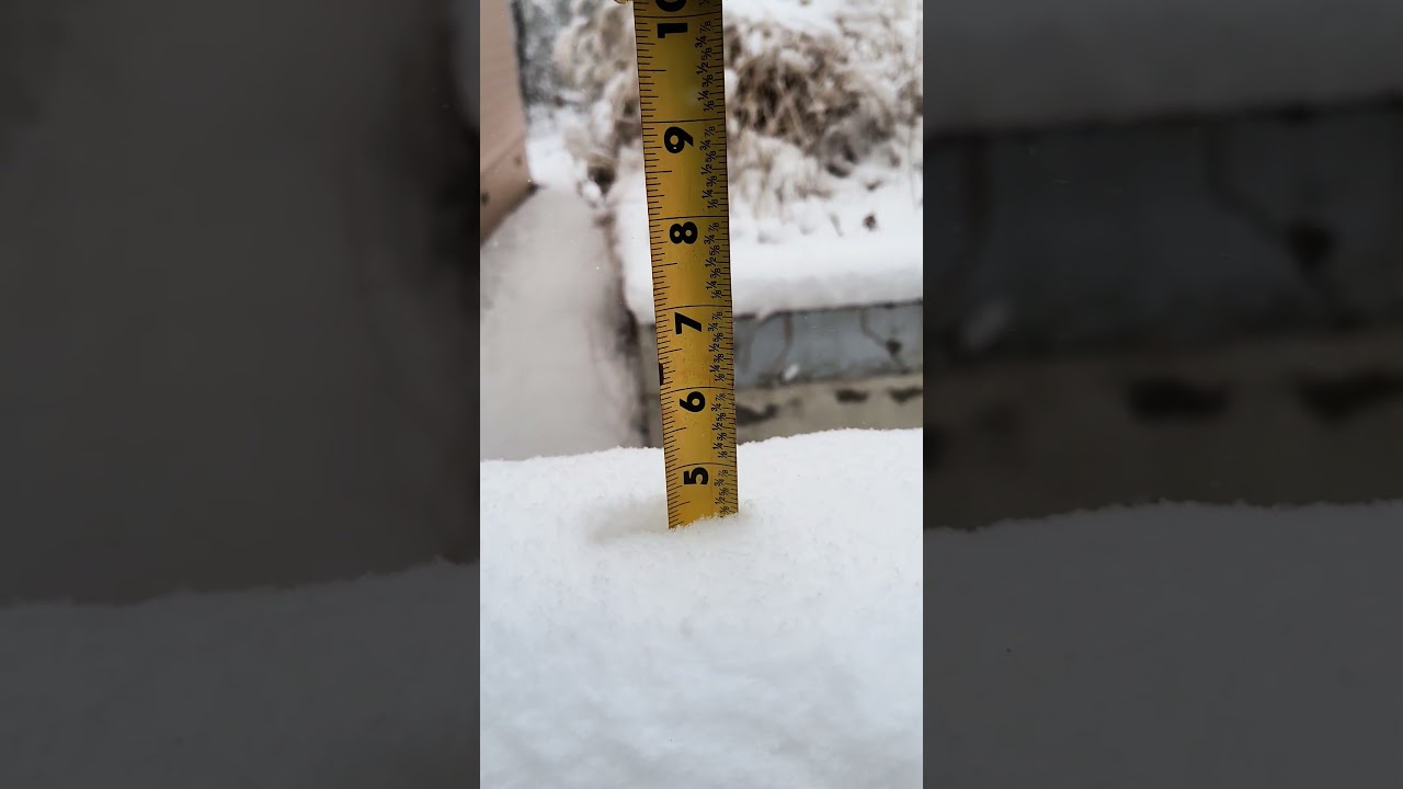 Обновленная информация на полдень о снегопаде в городе Франклин, Северная Каролина!