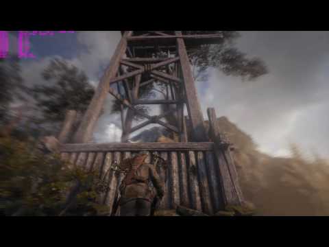 Zotac GTX 1060 TOMB RAIDER FPS ULTRA 1080p OC