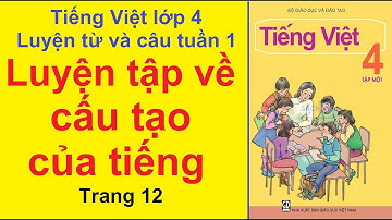 TIẾNG VIỆT LỚP 4 – Tuần 1 – Luyện Từ Và Câu – Luyện Tập Về Cấu Tạo Của Tiếng – Trang 12