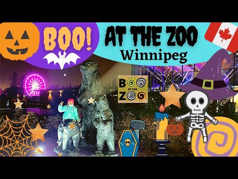 Video: Boo di Zoo Bronx: Aktiviti Halloween