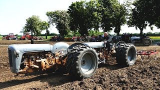 Ferguson FE-35 Tandem Tractor | Cultivating The Field | Ferguson Days 2016