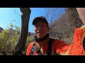 渓流釣りへ行きたくなる動画2