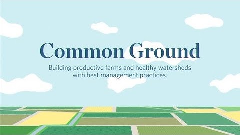 Common Ground:  Buffer Strips