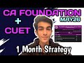 Crack CUET & CA FOUNDATION in 1 Month | Roadmap | #cuet #cafoundation