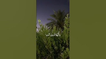 قرآن كريم بصوت جميل ستوريات دينيه ستوري انستا قرآن ستوريات بدون حقوق ❤️