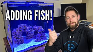 Adding Fish to the Nano Reef Aquarium! (HelloReef Aquarium Kit Update)