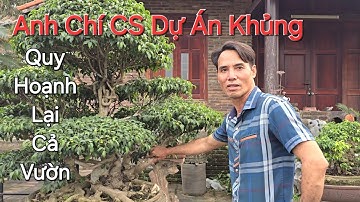 CHIÊM NGƯỠNG TỔNG THỂ VƯỜN CÂY QUÝ của anh CHÍ và được anh CS DỰ ÁN MỞ RỘNG VƯỜN KHỦNG sắp tới .