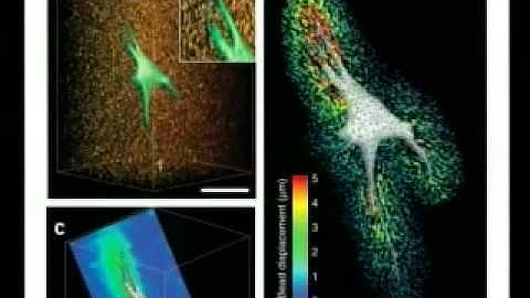 See What I Mean? Visualizing in Science
