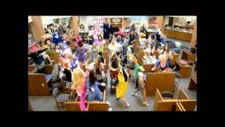 HAS 2013 Harlem Shake