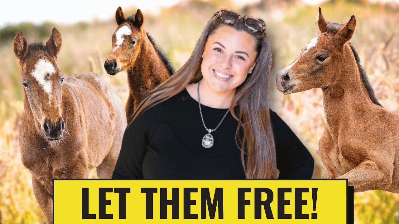 Setting My Babies Free...I Need More Of This!