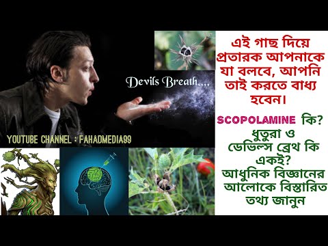 ভিডিও: গোধূলিতে সবচেয়ে শক্তিশালী কুলেন কে?