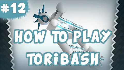 How To RUN In TORIBASH