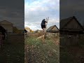 нежданчик упала бабка USA америка сша 