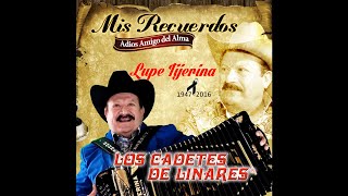 Versión 1 del video