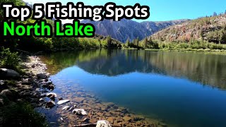 Top 5 Fishing Spots | North Lake | Bishop California