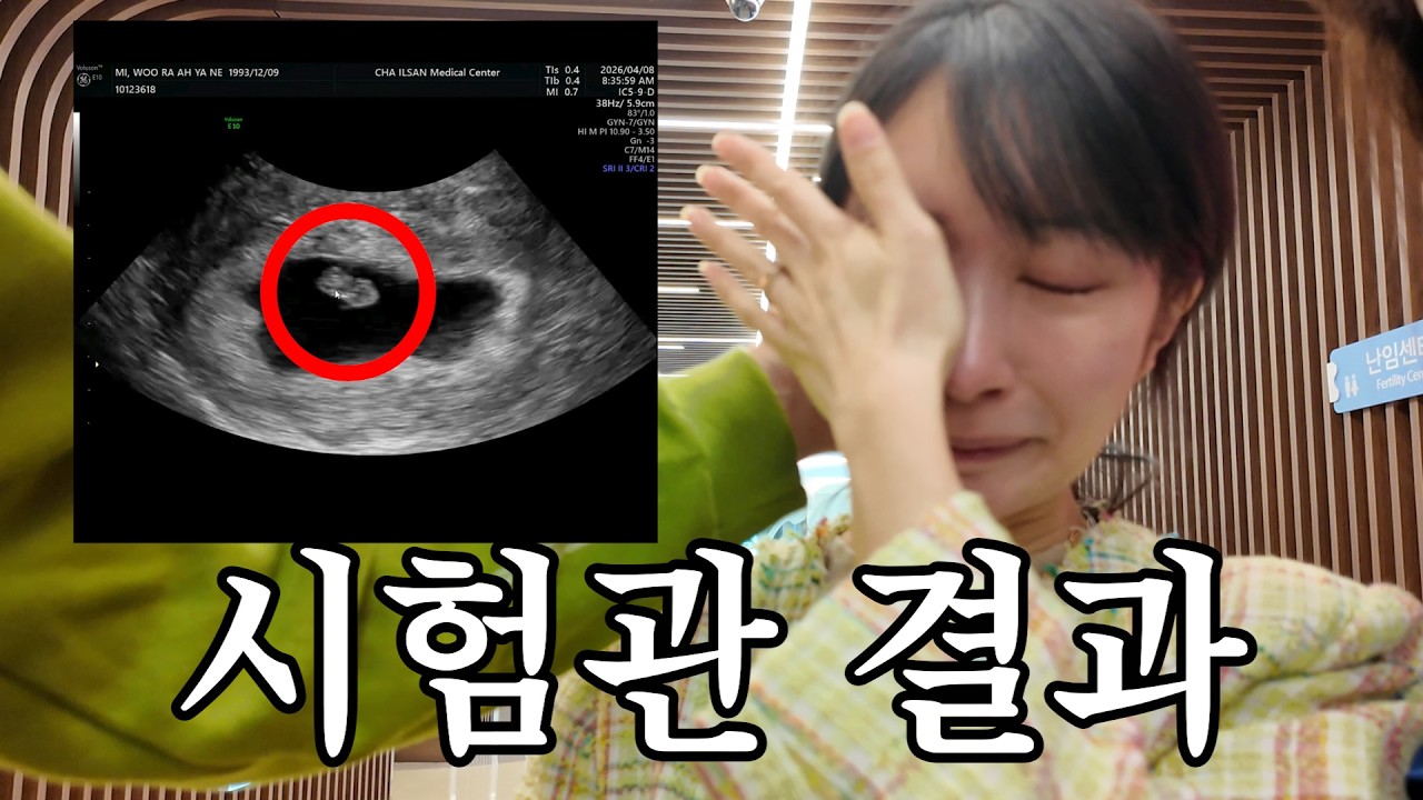 시험관 결과 나왔습니다...