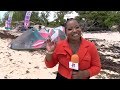 The Importance of Sargassum on beaches | Education Officer, Aaron John - BNT Bahamas National Trust