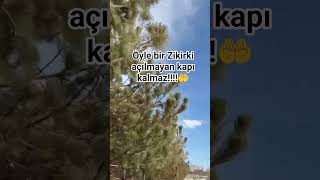 Allahuekbêr Kêbîrâ Vêlhâmdu Lîllâhî Kêsîrâ Ve Suphânallâhi Bukreten Ve Esillâ