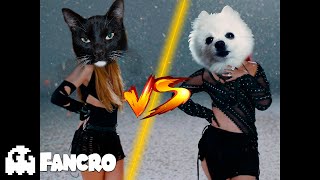 KAROL G, Shakira  TQG (Cover Animales)